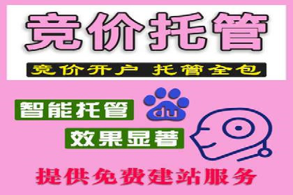 竞价广告的深度解析：以一知名品牌为例